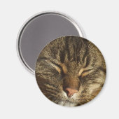 Kitty Cat Magnet Magneet (Voorkant / Achterkant)
