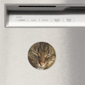 Kitty Cat Magnet Magneet (Insitu (Vaatwasser))