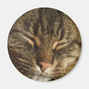 Kitty Cat Magnet Magneet