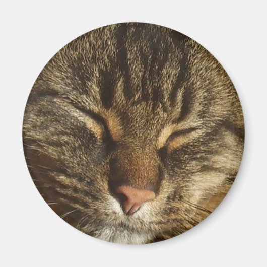 Kitty Cat Magnet Magneet (Voorkant)