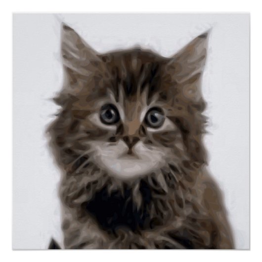 KITTY CAT PERFECT POSTER (Voorkant)
