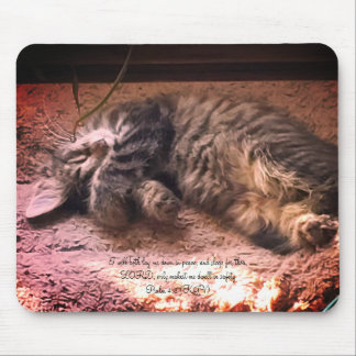 Kitty Cat Psalm 4:8 Muismat