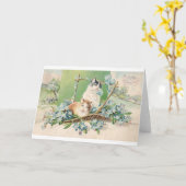 Kitty Cat Verjaardag Groeten Kaart (Gele Bloem)