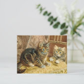  Kitty Cats - Victoriaans Cat Art Briefkaart (Staand voorkant)