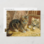  Kitty Cats - Victoriaans Cat Art Briefkaart (Voorkant / Achterkant)