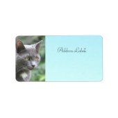 Kitty Chat Étiquettes de adresse (Devant)