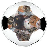 Kitty Collage (Tourné)