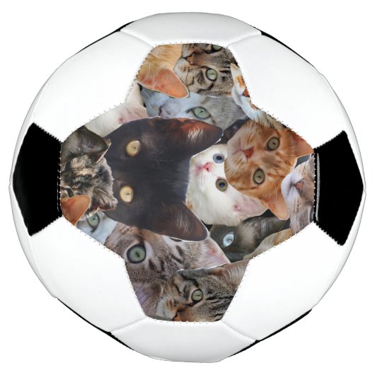Kitty Collage (Tourné)
