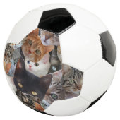 Kitty Collage (3/4)