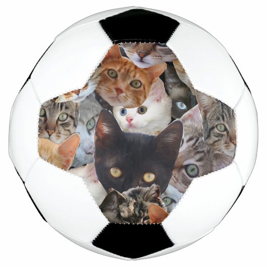 Kitty Collage (Devant)