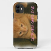 Kitty "CUTENESS OVERLOAD" iPhone 5 Coque (Dos)