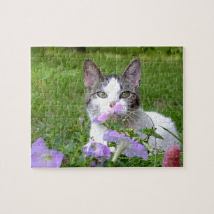 Kitty dans le puzzle Petunias