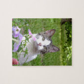 Kitty dans le puzzle Petunias (Horizontal)