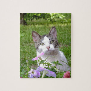 Kitty dans le puzzle Petunias