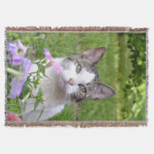 Kitty dans les fleurs lancer la couverture (Devant)