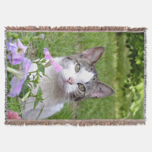 Kitty dans les fleurs lancer la couverture (Devant)