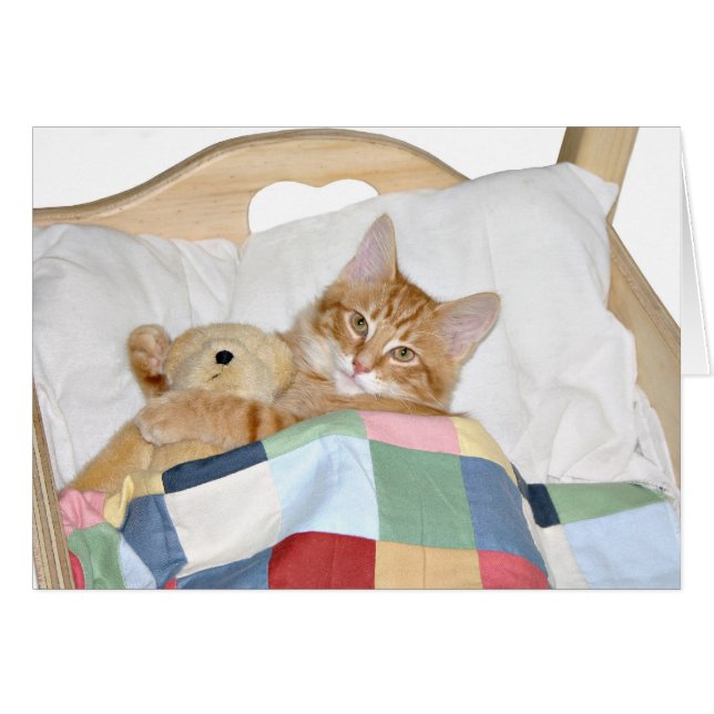 Kitty dort avec ours en peluche (Devant horizontal)