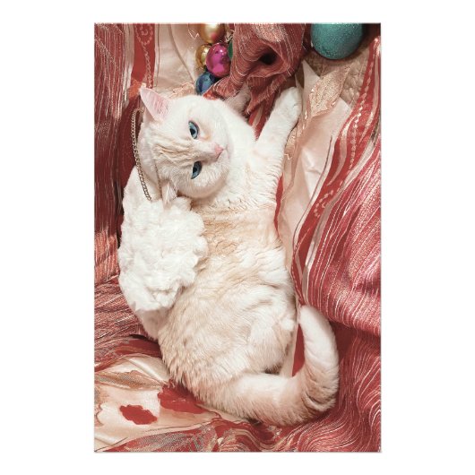 Kitty Engel Foto Afdruk (Voorkant)