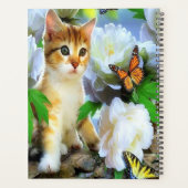 Kitty et Butterflies (Dos)