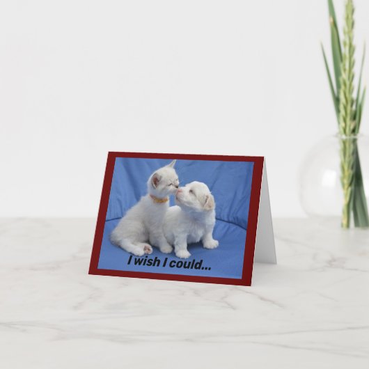 Kitty Et Chiot Obtenir Bonne Carte (Devant)