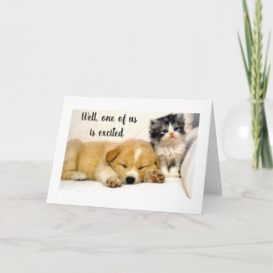 **KITTY** IS ENTHOUSIAST OMDAT HET JE *40E VERJAAR KAART