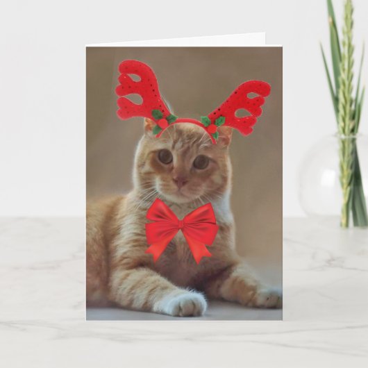 Kitty Kat Rendier Kerstmis Feestdagen Kaart (Voorkant)
