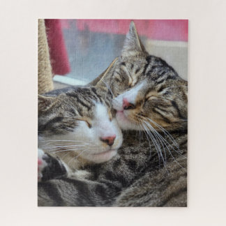 Kitty knuffels! legpuzzel