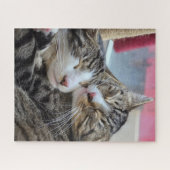 Kitty knuffels! legpuzzel (Horizontaal)