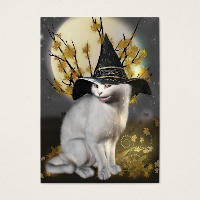 Kitty Le Chat Magique Sorcières (Devant)