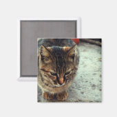 Kitty Magneet (Voorkant / Achterkant)