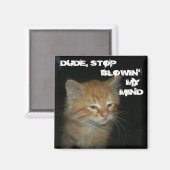 Kitty "MEC, ARRÊTE DE BLOQUER MON ESPRIT" Magnet (Recto/Verso)