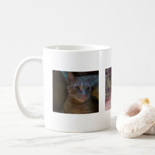 Kitty Mok