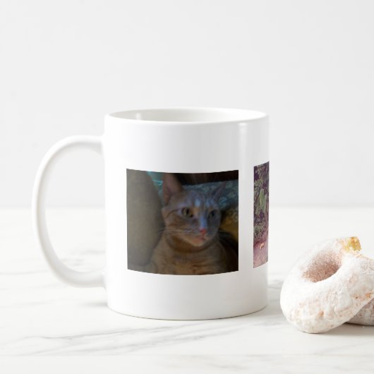 Kitty Mok (Met donut)