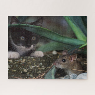 Kitty noir et blanc avec puzzle de souris