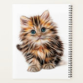 Kitty numérique (Dos)