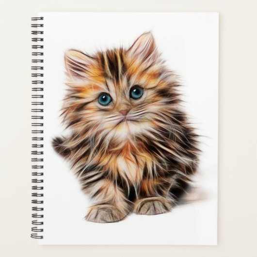 Kitty numérique (Devant)