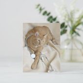 Kitty obtenir carte postale (Debout devant)