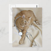 Kitty obtenir carte postale (Devant / Derrière)