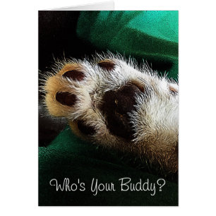 Kitty Paw Photo Carte Vierge à l'Intérieur En Pens