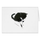 Kitty Peinture Chat noir et blanc (Devant horizontal)