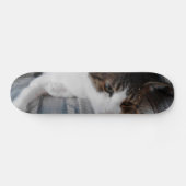 Kitty Skateboard (Horz)