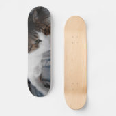 Kitty Skateboard (Recto)