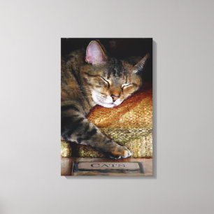 Kitty Slaap Boek Canvas Afdruk