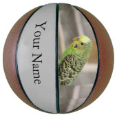 Kiwi Basketbal (Verticaal)