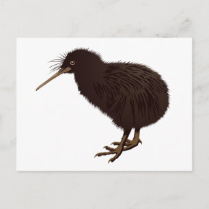 Kiwi Bird Briefkaart