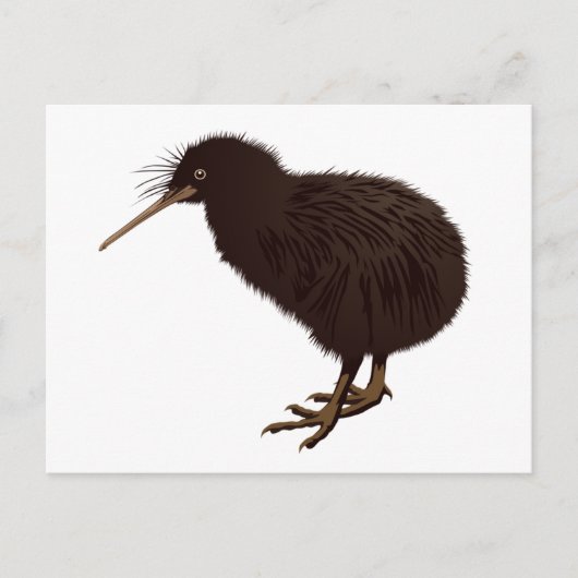 Kiwi Bird Briefkaart (Voorkant)