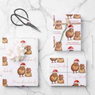 Kiwi Bird Meri Kirihimete Naam Vrolijk Kerstfeest Inpakpapier Vel