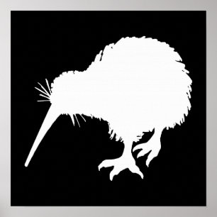 Kiwi Bird Poster