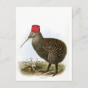 Kiwi Bird Wearing Fez Absurd Vintage Briefkaart
