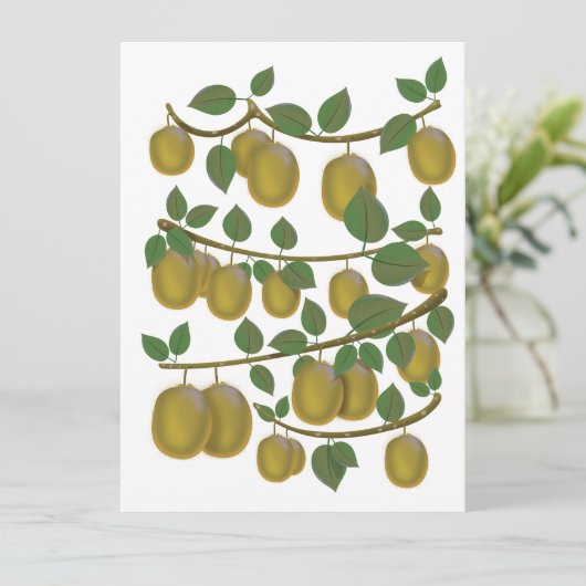 Kiwi Fruit (Staand voorkant)